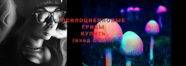 ПСИЛОЦИБИНОВЫЕ ГРИБЫ Гвардейск
