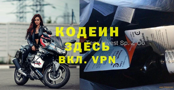 apvp Алзамай